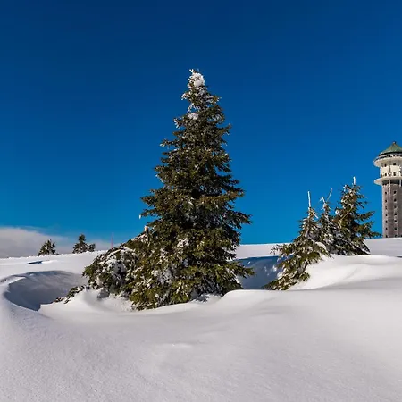 Ahorn, 3 Schlafzimmer, Semesterbostad